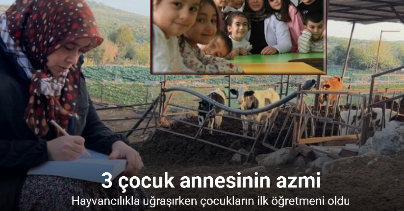 3 çocuk annesinin azmi: Hayvancılıkla uğraşırken çocukların ilk öğretmeni oldu