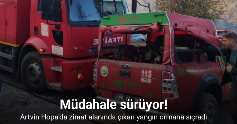 Artvin Hopa’da ziraat alanında çıkan yangın ormana sıçradı