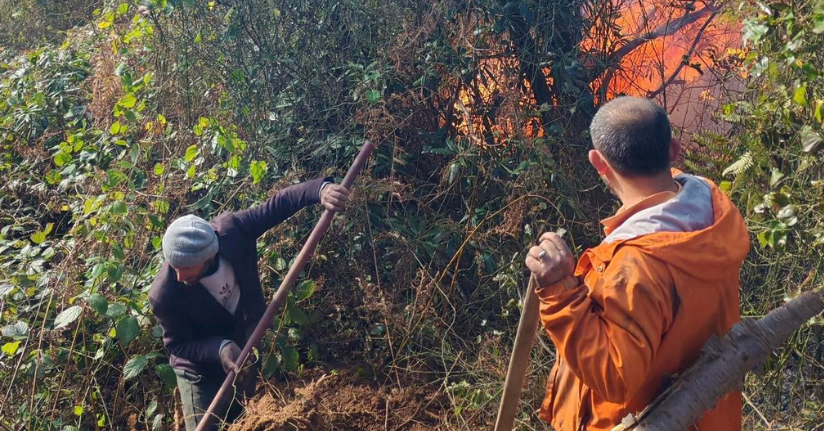 Artvin Hopa’da 5 hektarlık alanı küle çeviren yangınla mücadele sürüyor