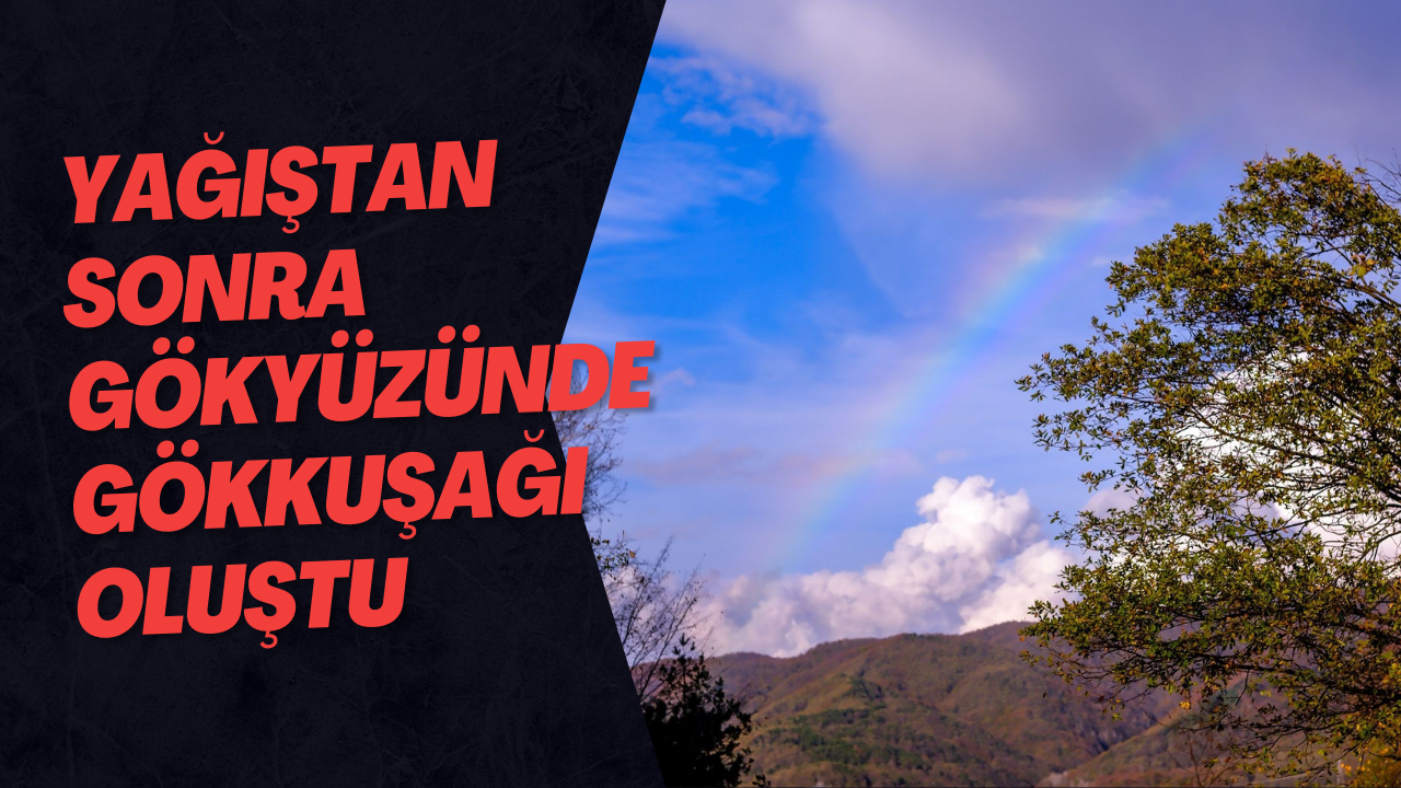 Yağıştan Sonra Gökyüzünde Gökkuşağı Oluştu