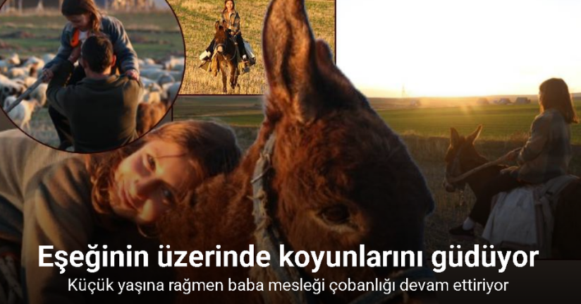 Küçük kız baba mesleği çobanlığı devam ettiriyor: Eşeğinin üzerinde koyunlarını güdüyor