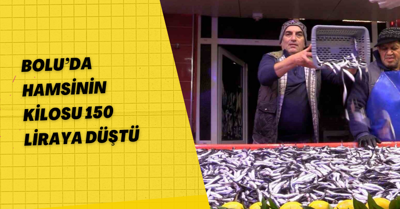 Bolu’da hamsinin kilosu 150 liraya düştü