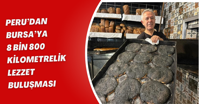 Bursanın Siyah Tahinli Pidesi