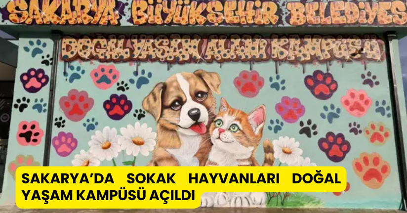 Sakarya’da Sokak Hayvanları Doğal Yaşam Kampüsü Açıldı
