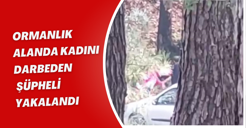 Ormanlık alanda kadını darbeden şüpheli yakalandı