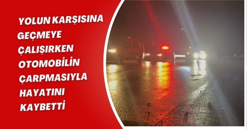 Yolun karşısına geçmeye çalışırken otomobilin çarpmasıyla hayatını kaybetti