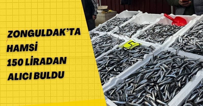 Zonguldak’ta hamsi 150 liradan alıcı buldu