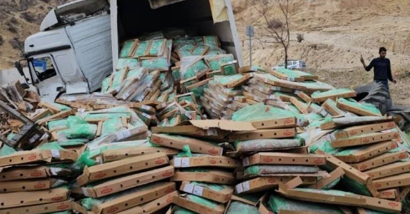 Tavuk eti yüklü tır kaza yaptı: Sürücü yaralandı, tavuklar çevreye dağıldı