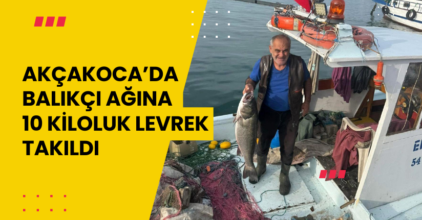 Akçakoca’da balıkçı ağına 10 kiloluk levrek takıldı