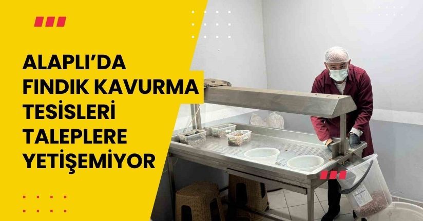 Alaplı’da fındık kavurma tesisleri taleplere yetişemiyor