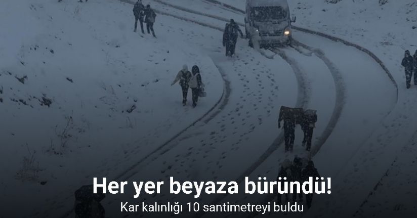 Yüksekova yoğun kara teslim oldu