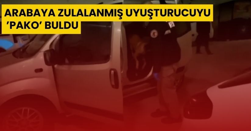 Arabaya zulalanmış uyuşturucuyu ’Pako’ buldu