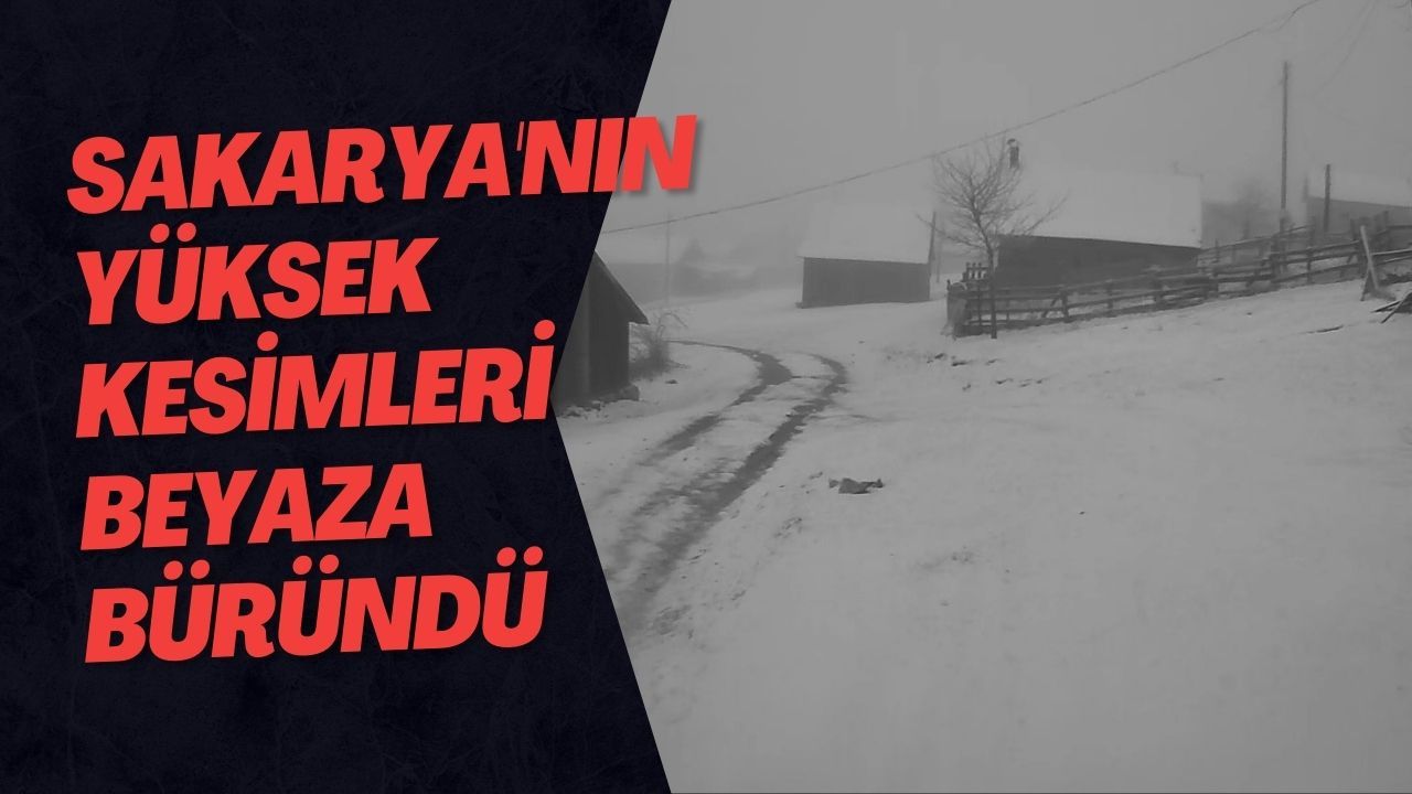 Sakarya'nın Yüksek Kesimleri Beyaza Büründü