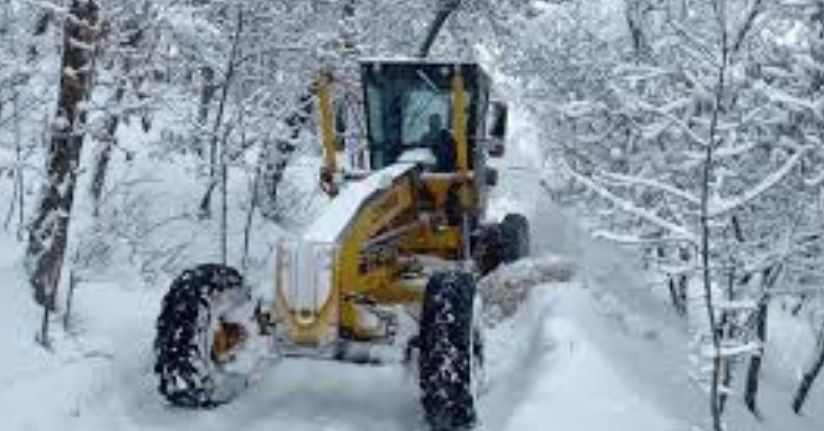 Erzurum ve Kars'ta kar yağışı nedeniyle 66 yerleşim yerinin yolu kapandı