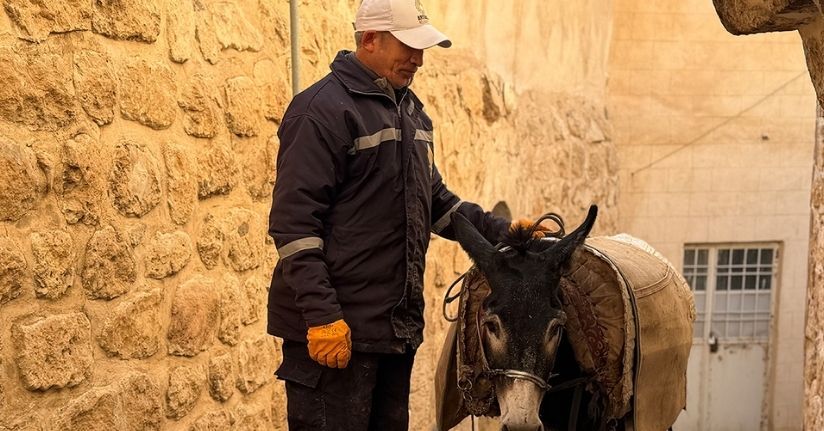 Mardin’de ’kadrolu’ eşekleri emekli edecek proje hayata geçiyor