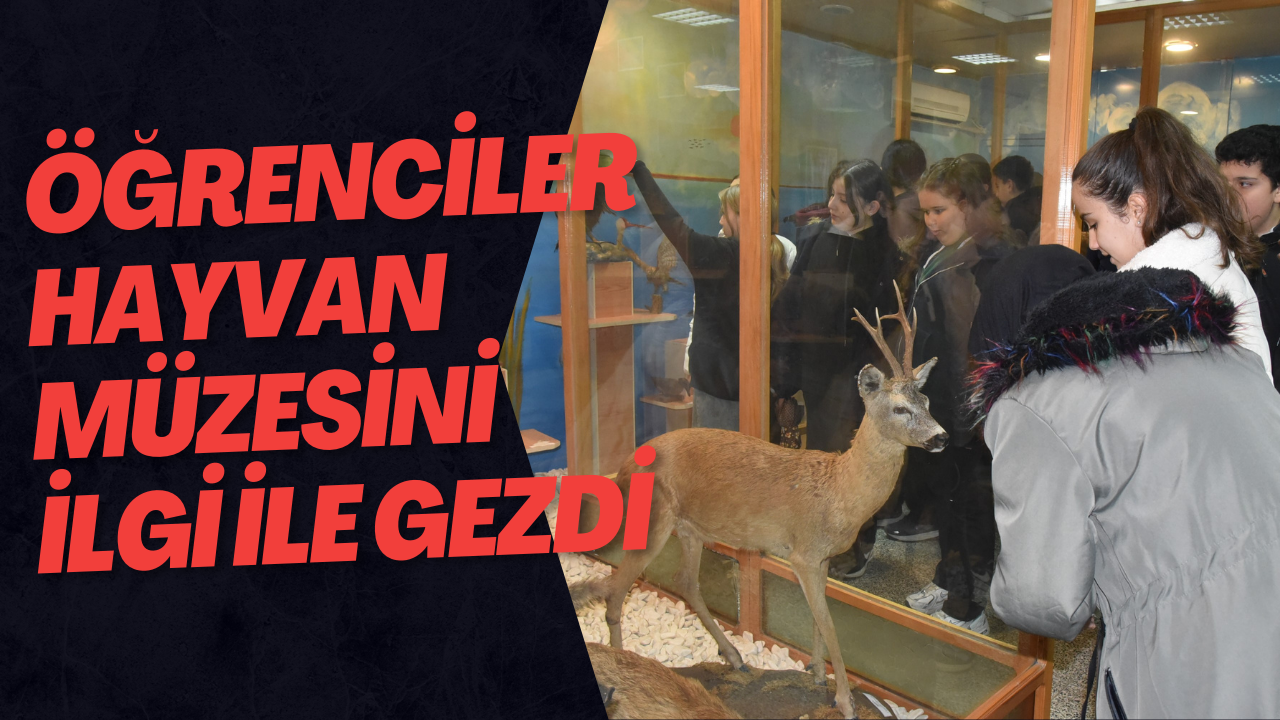 Öğrenciler Hayvan Müzesini İlgi İle Gezdi