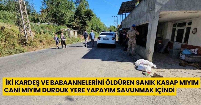 İki kardeş ve babaannelerini öldüren sanık 