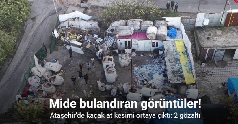 Ataşehir’de kaçak at kesimi ortaya çıktı: 2 gözaltı