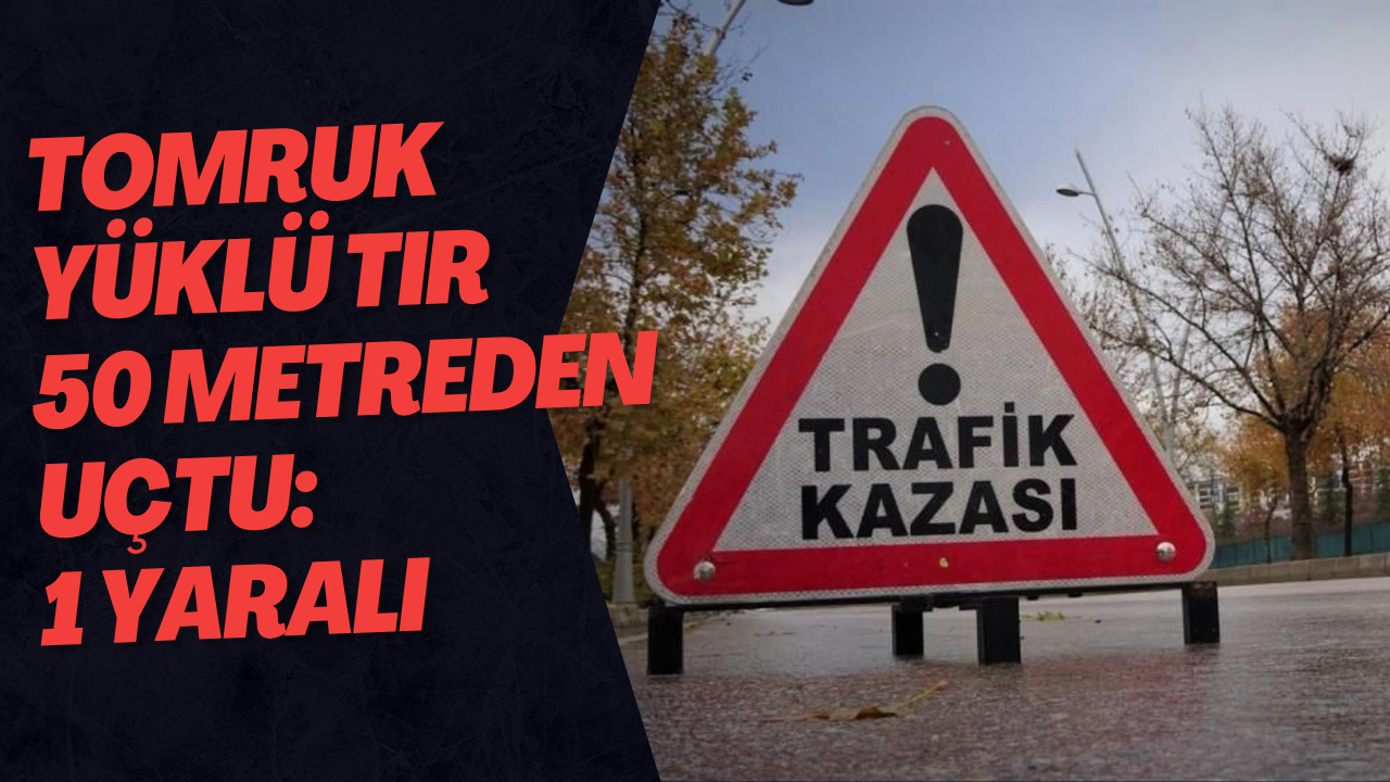 Tomruk Yüklü Tır 50 Metreden Uçtu: 1 Yaralı