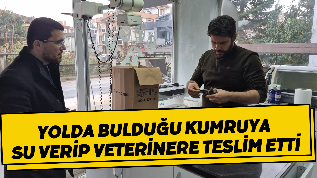 Yolda Bulduğu Kumruya Su Verip Veterinere Teslim Etti