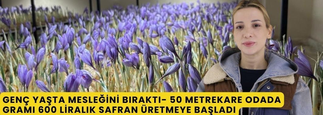 Genç yaşta mesleğini bıraktı, 50 metrekare odada gramı 600 liralık safran üretmeye başladı