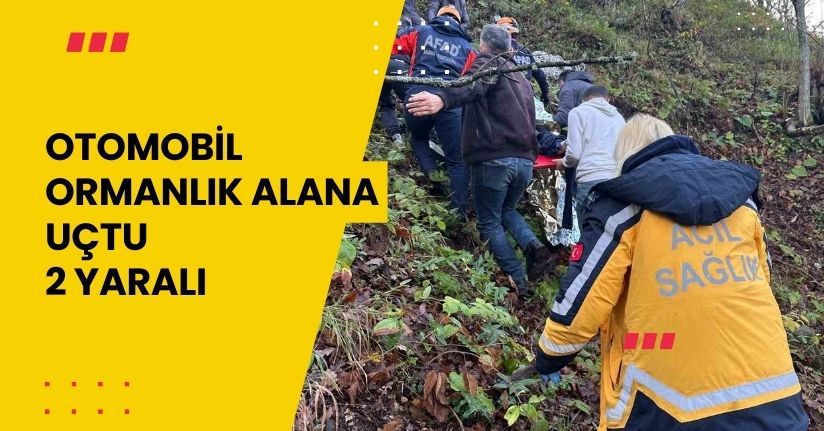 Otomobil ormanlık alana uçtu, 2 yaralı