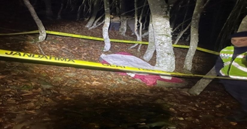 Uçuruma uçan traktörün sürücüsü öldü, eşi yaralandı