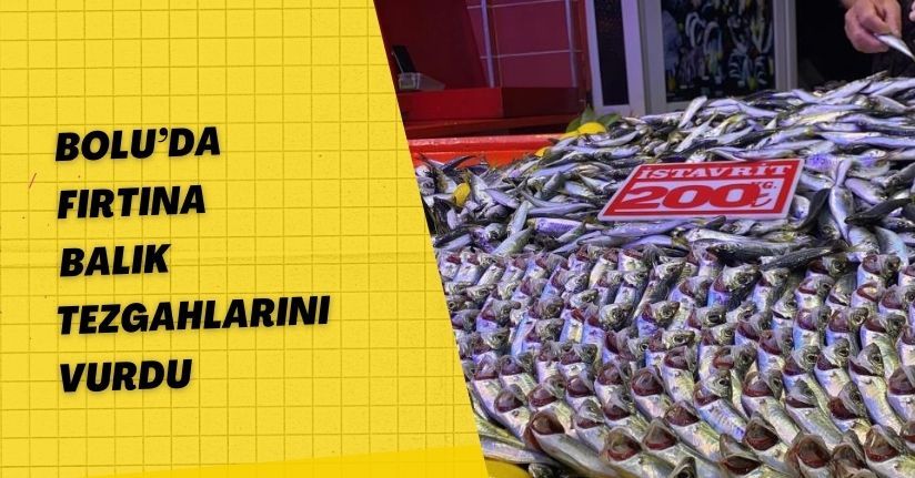 Bolu’da fırtına balık tezgahlarını vurdu