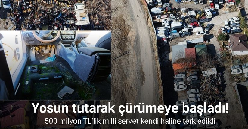 Elazığ’da yediemin otoparkında yosun tutan araçlar: 500 milyon TL’lik servet çürüyor