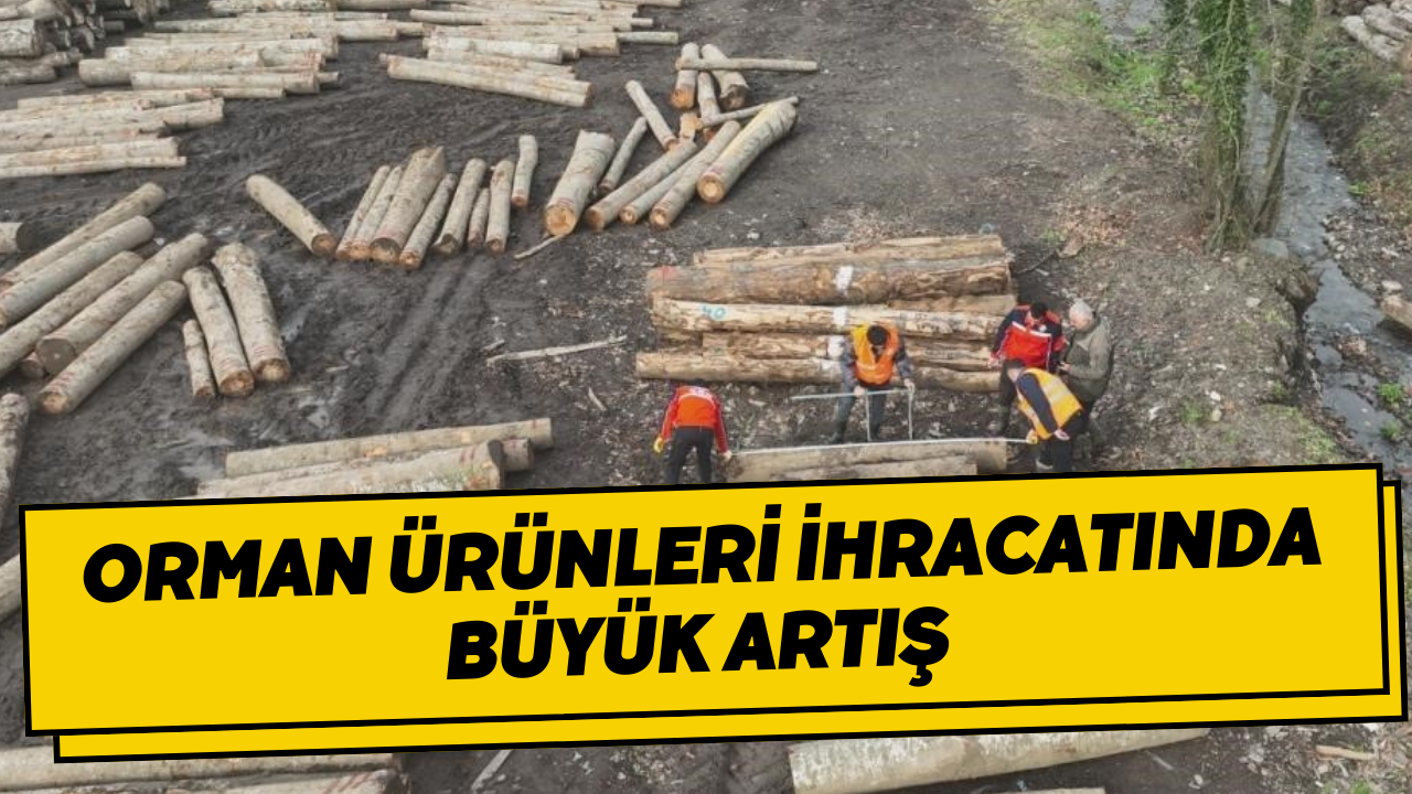 Düzce'den 22 Bin 310,95 Ton Orman Ürünü İhraç Edildi