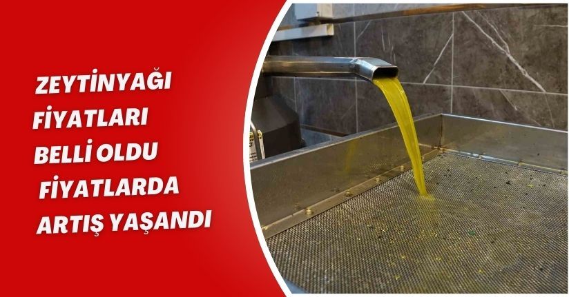 Zeytinyağı fiyatları belli oldu, fiyatlarda artış yaşandı