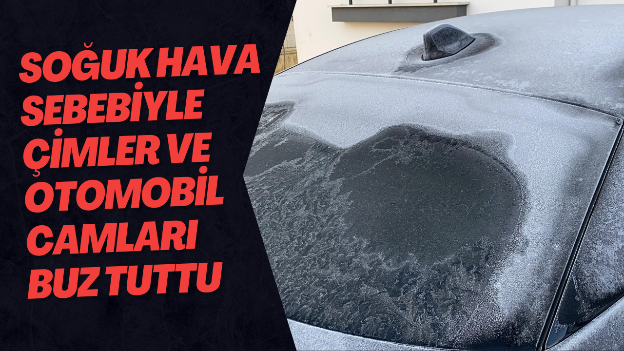 Soğuk Hava Sebebiyle Çimler Ve Otomobil Camları Buz Tuttu