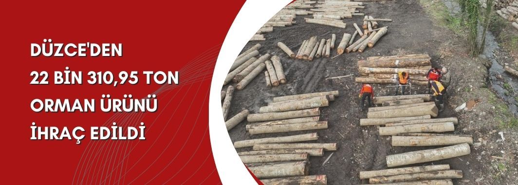 Düzce'den 22 Bin 310,95 Ton Orman Ürünü İhraç Edildi