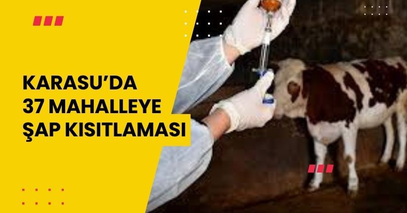 Karasu’da 37 mahalleye şap kısıtlaması