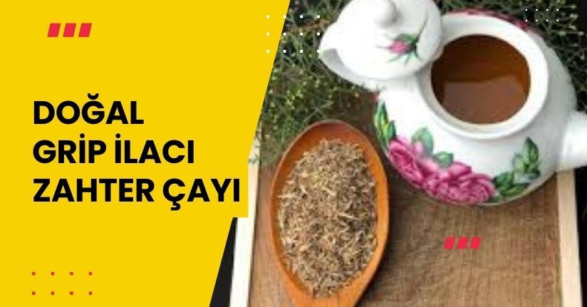 Doğal grip ilacı: ’Zahter çayı’