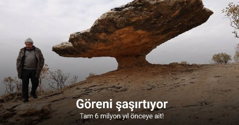 Diyarbakır’da buzul çağ kalıntısı: Tam 6 milyon yıl önceye ait