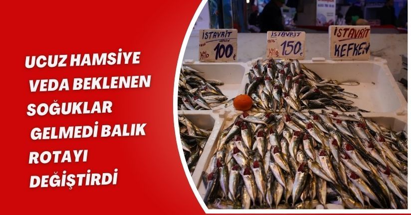 Ucuz hamsiye veda: Beklenen soğuklar gelmedi, balık rotayı değiştirdi