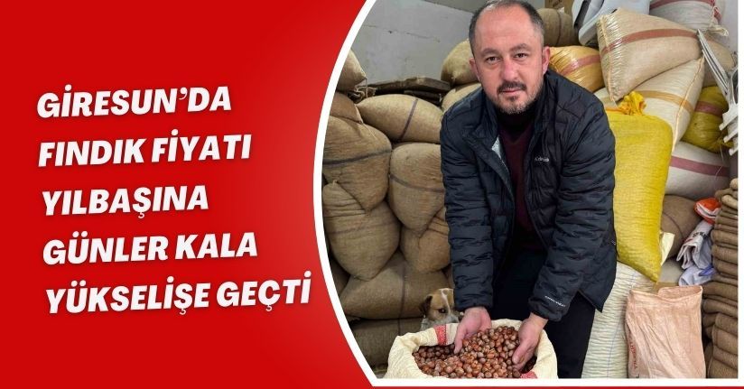 Giresun’da fındık fiyatı yılbaşına günler kala yükselişe geçti