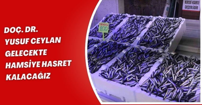 Doç. Dr. Yusuf Ceylan: