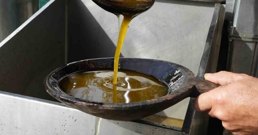 Zeytinyağında dededen kalma