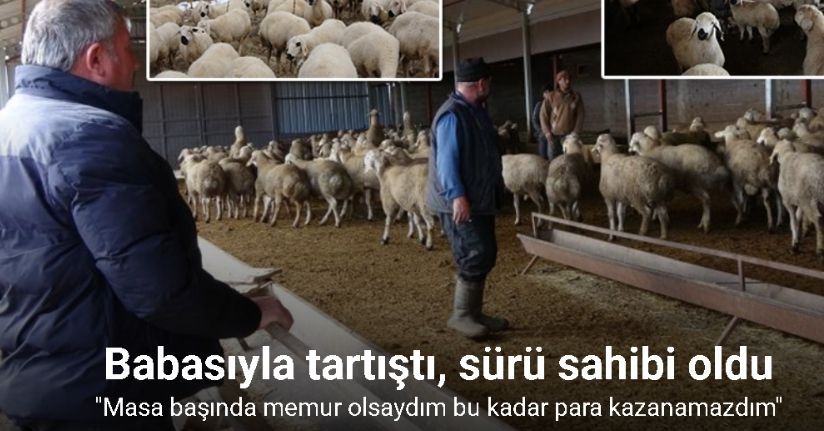 Babasıyla tartıştı, vadeli koyun alarak kendi sürüsüne sahip oldu