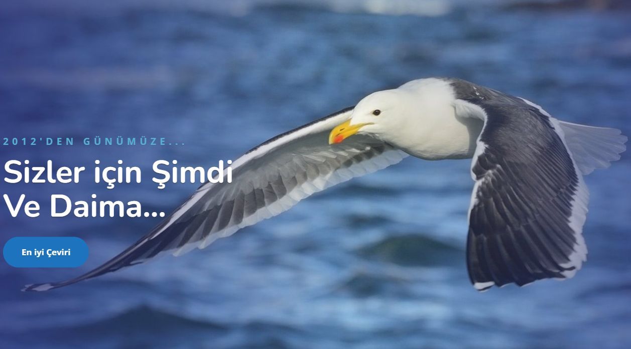 Almanca Tercüme Fiyatları 2026: Almanca Yeminli Çeviride Ekonomik Çözümler