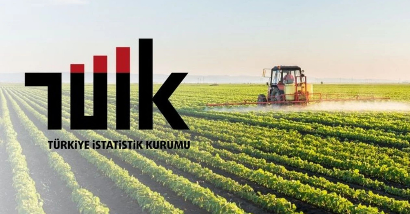 TÜİK: Bitkisel üretim miktarları 2025'te azaldı