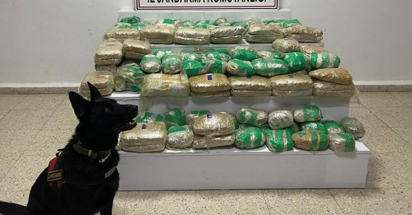 Van’da 51 kilo skunk ele geçirildi
