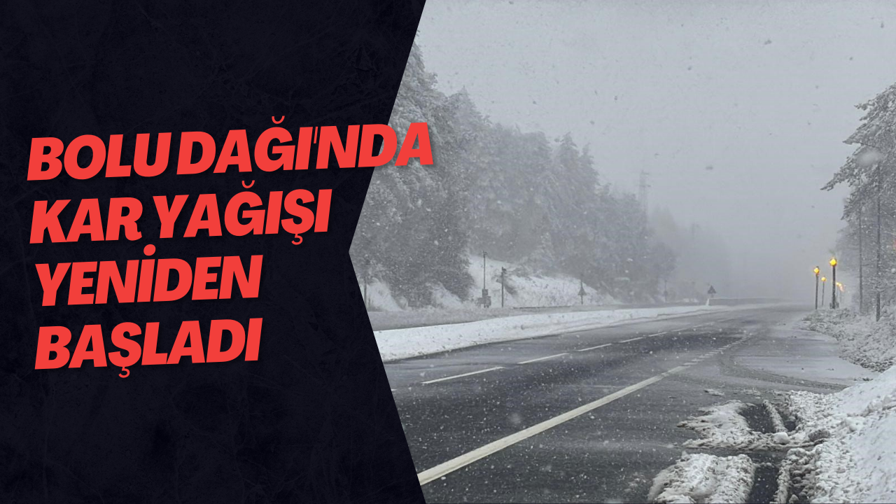 Bolu Dağı'nda Kar Yağışı Yeniden Başladı