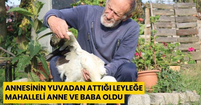 Annesinin yuvadan attığı leyleğe, mahalleli anne ve baba oldu