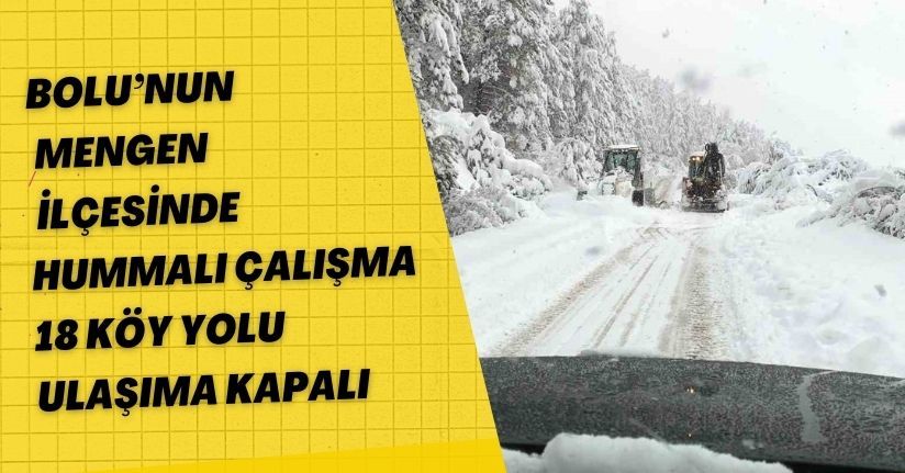Bolu’nun Mengen ilçesinde hummalı çalışma: 18 köy yolu ulaşıma kapalı