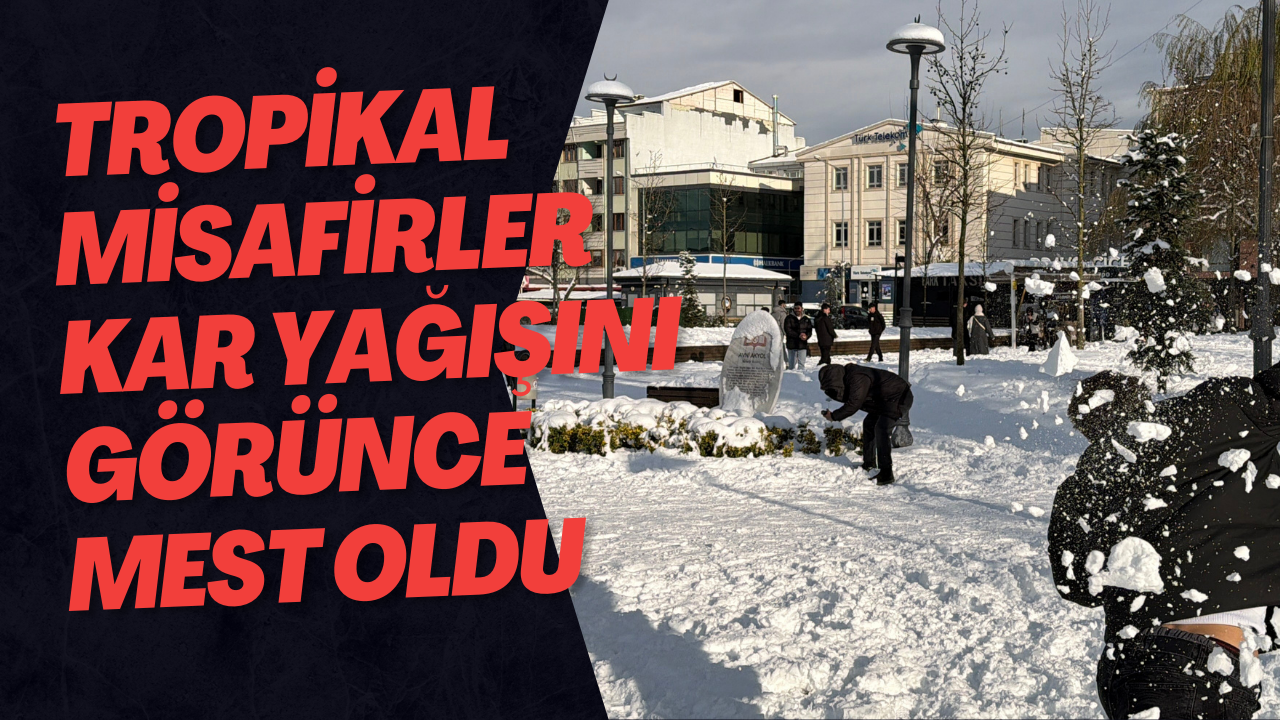 Tropikal Misafirler Kar Yağışını Görünce Mest Oldu