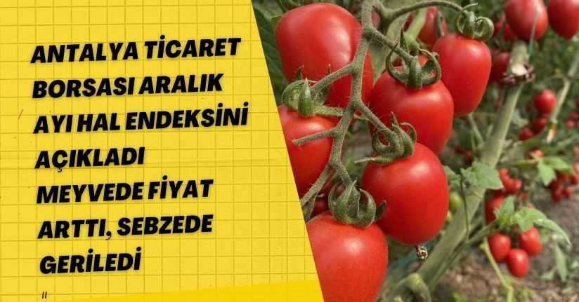 Antalya Ticaret Borsası, aralık ayı hal endeksini açıkladı: 