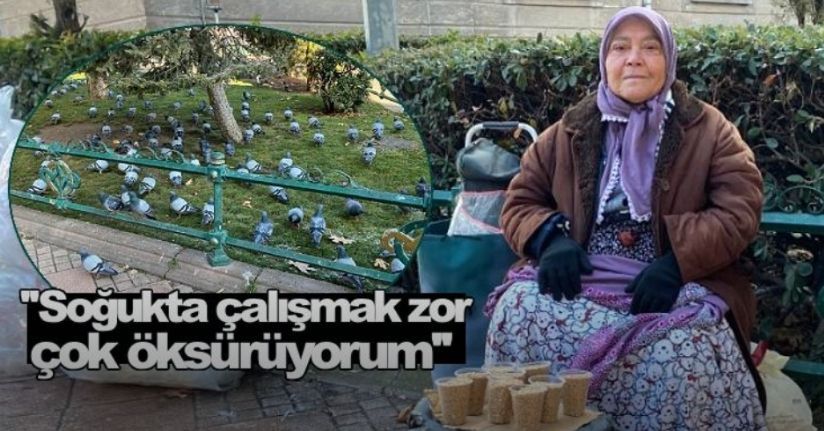 Tam 5 hastalıkla ve 74 yaşında, 9 saat kuş yemi satıp cezaevindeki yakınlarını geçindiriyor